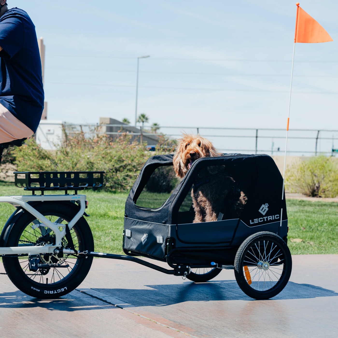 Large Pet Trailer