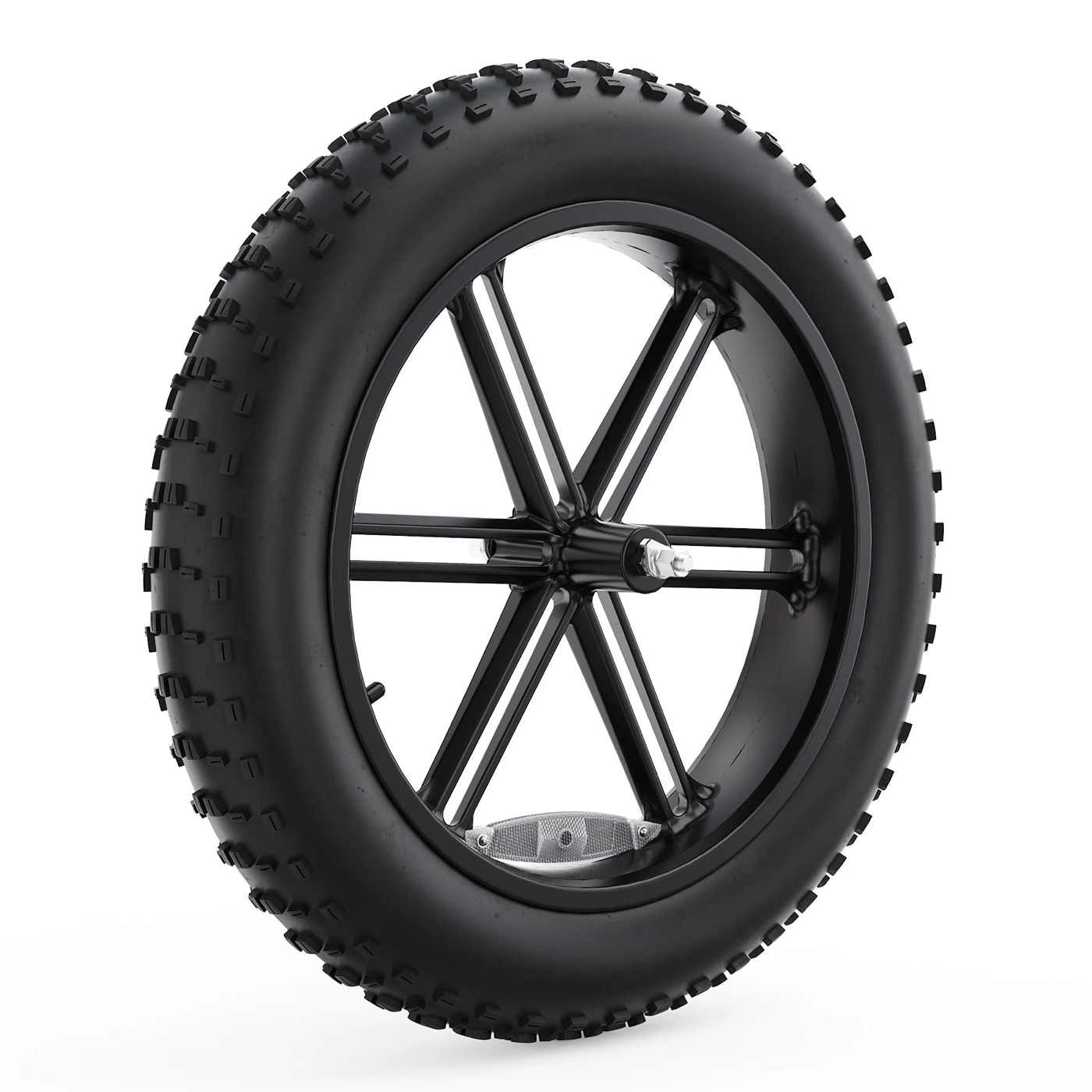 Complete Front Wheel