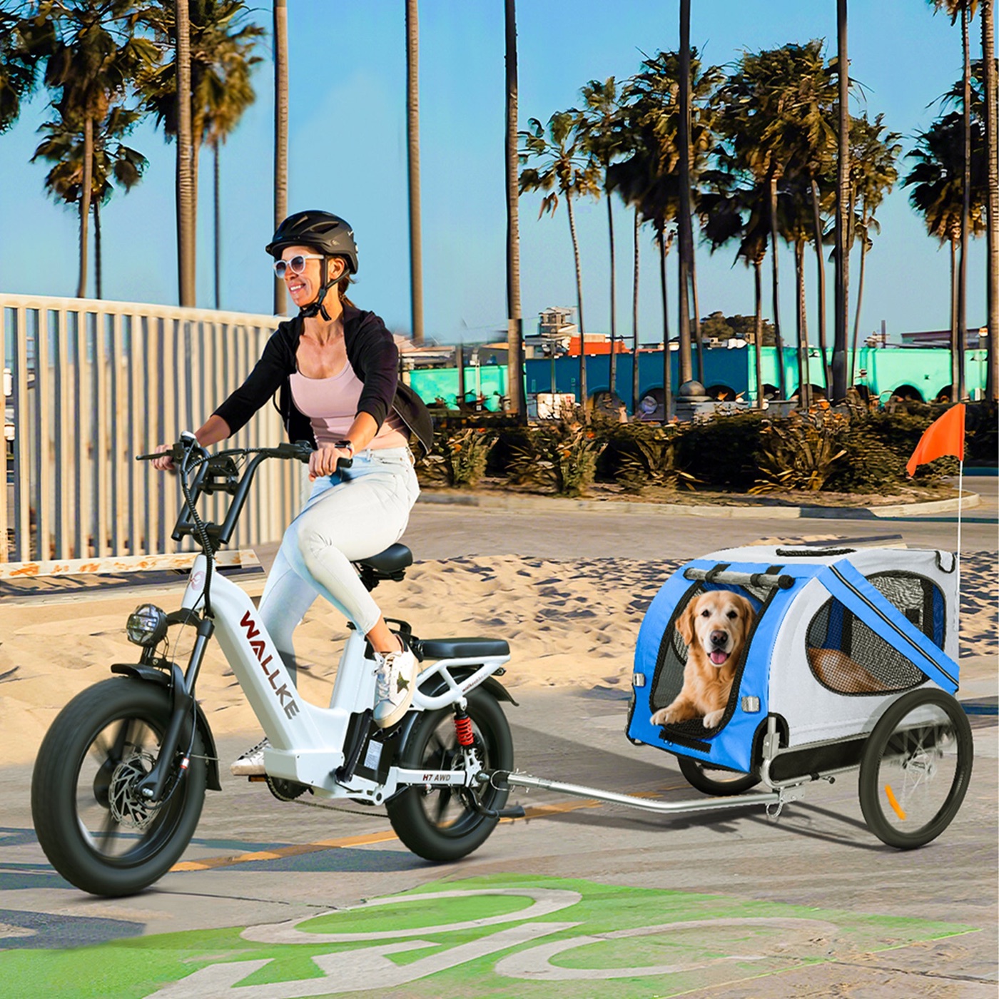 Pet/Cargo Trailer