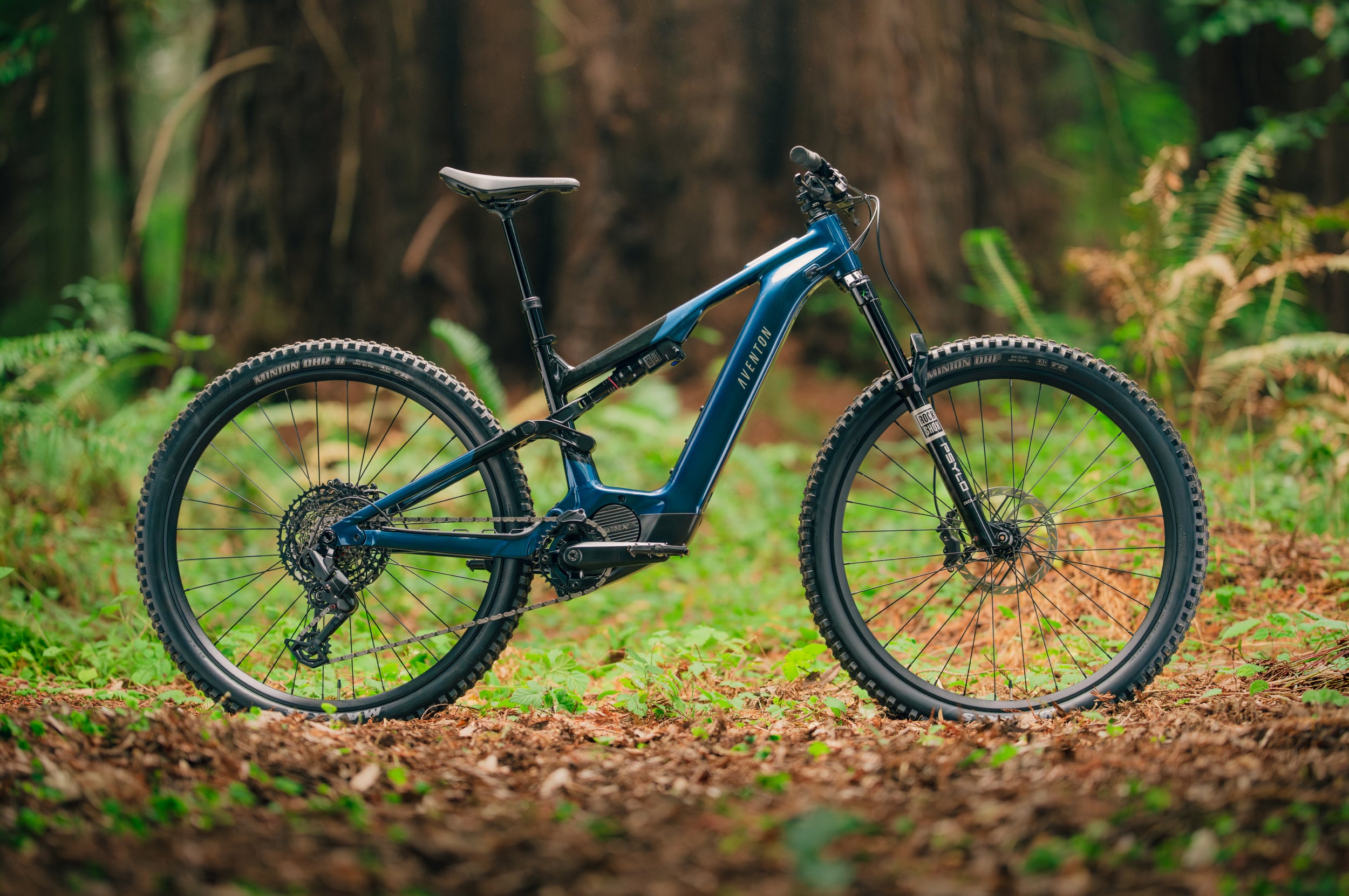 Blue Onyx in the trees — alloy frame, 29in wheels