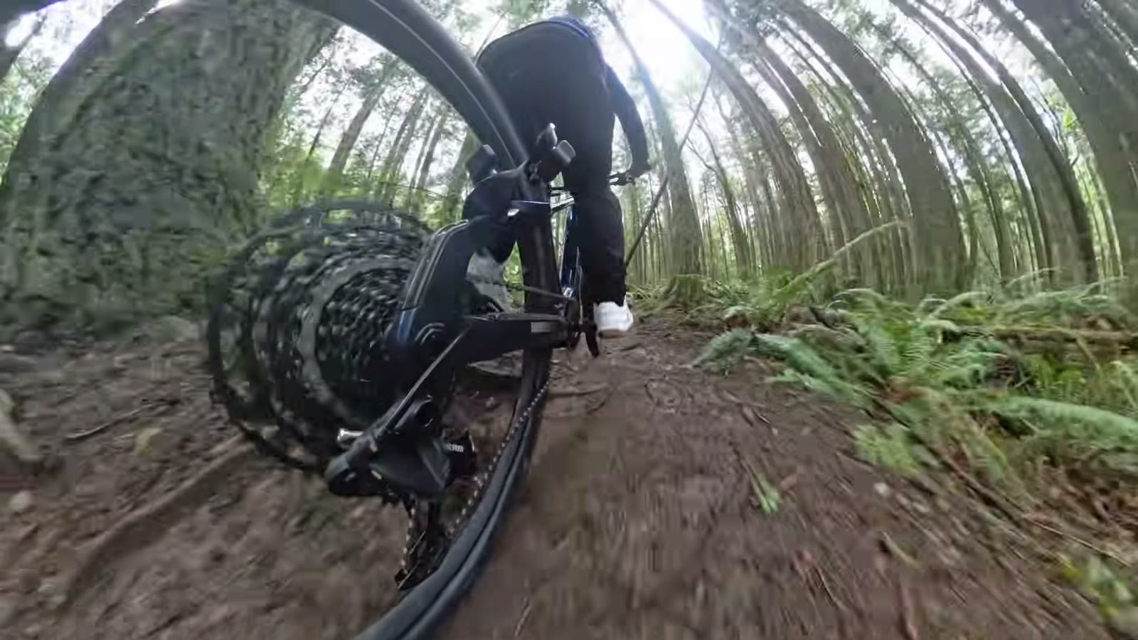 Climbing over wet roots and rocks on the Ramblas ADV