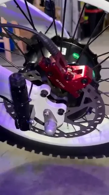 Red brake caliper and rotor