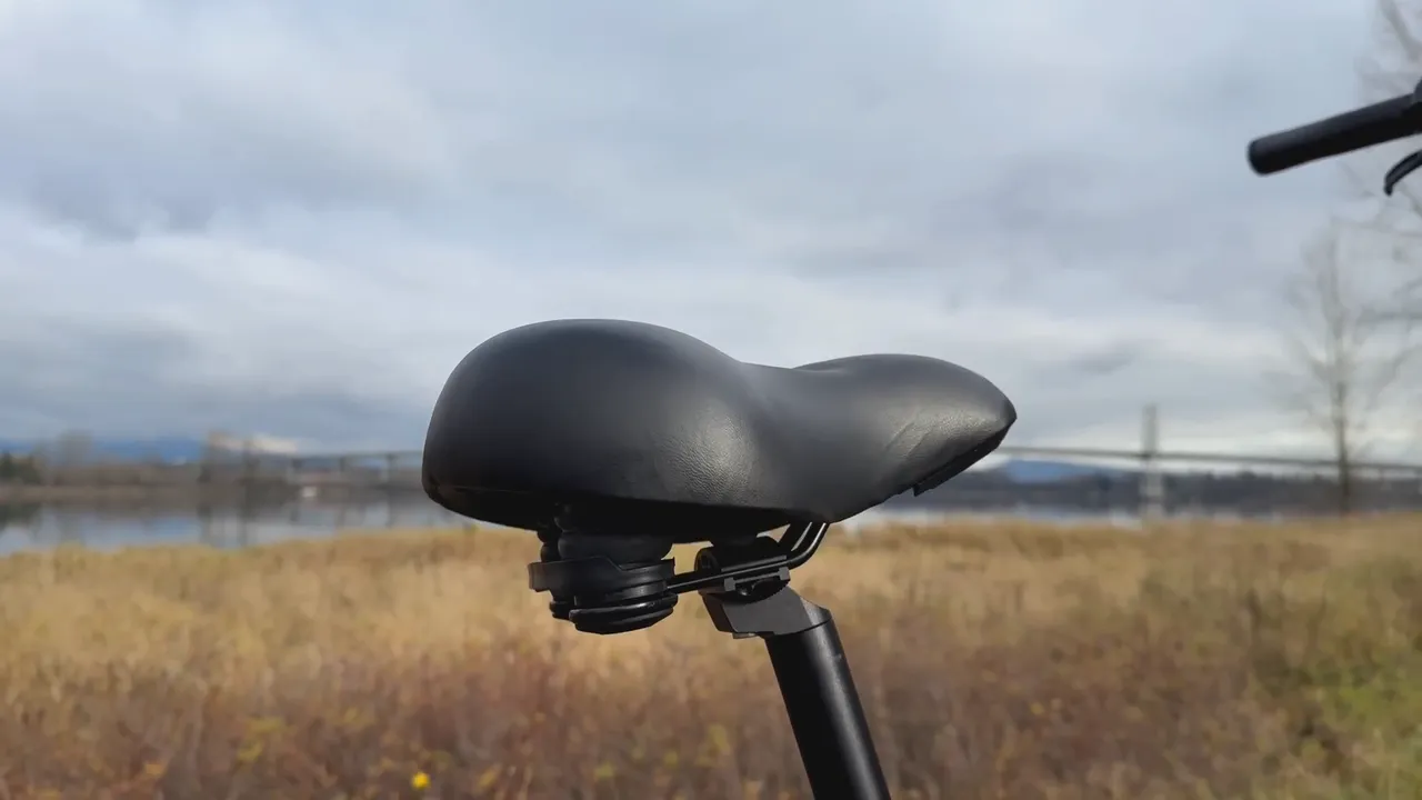 saddle