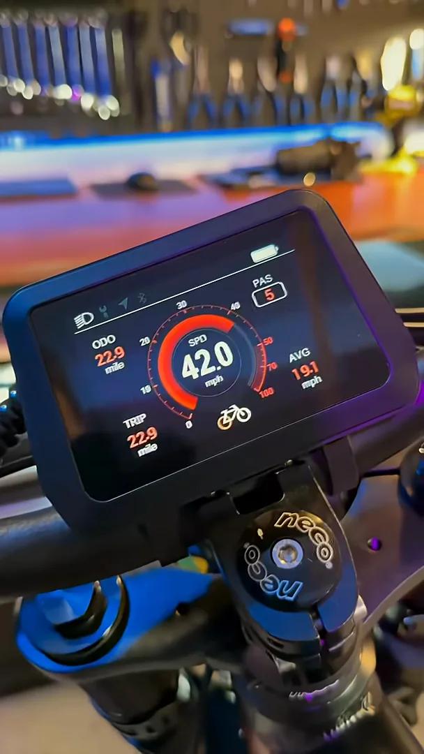 Display with speed, odometer, trip and assist level