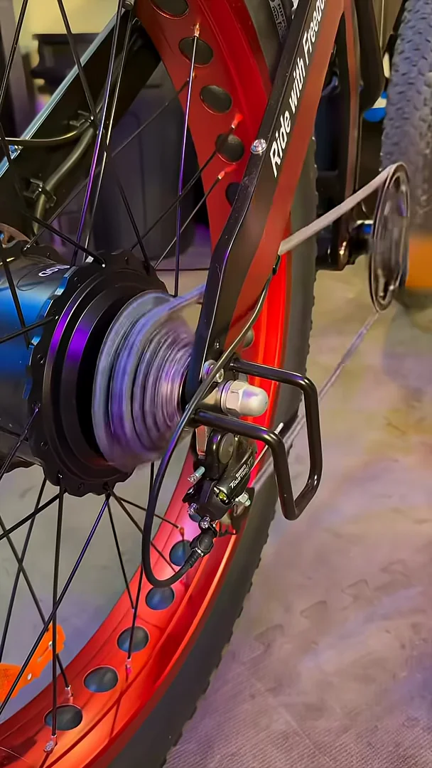 Rear wheel, chain and derailleur guard