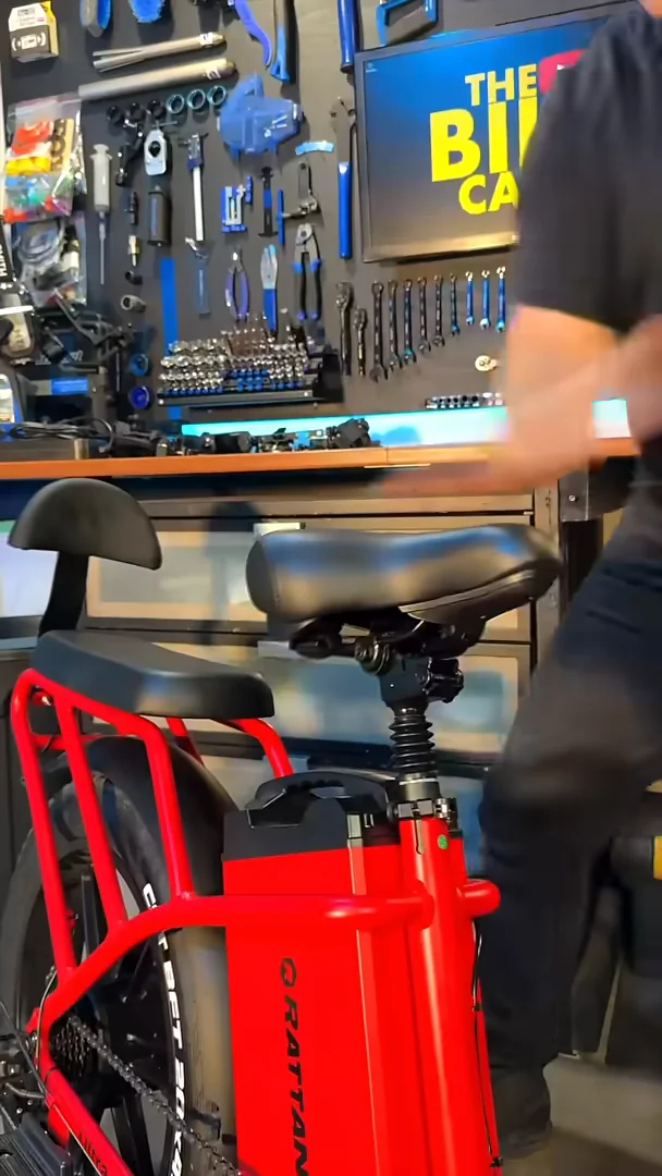 Rear rack, backrest and the red battery