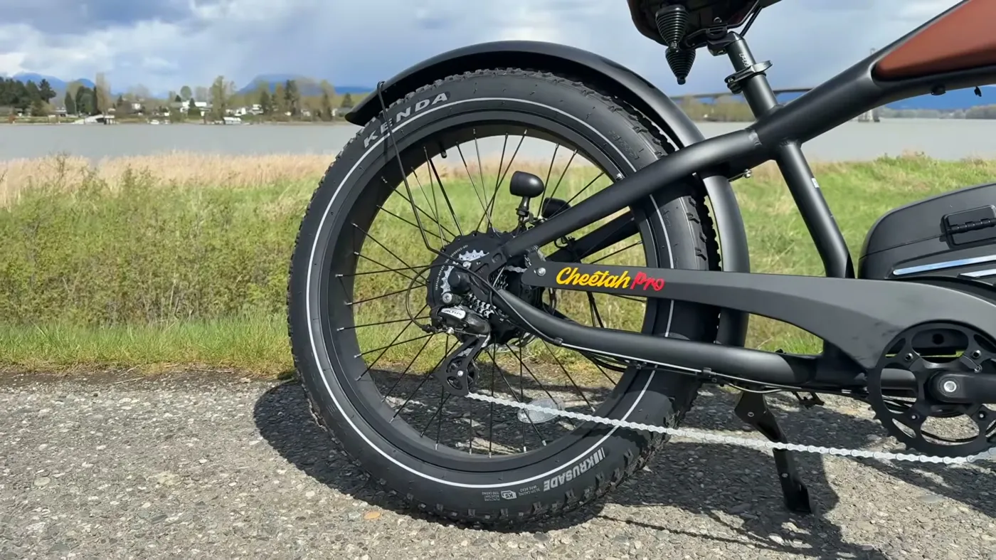 rear wheel and drivetrain