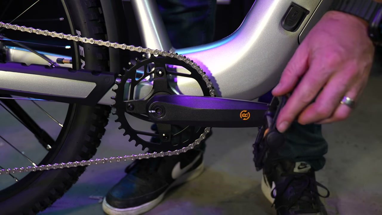 Crankset and chainring with no protector and plastic pedals