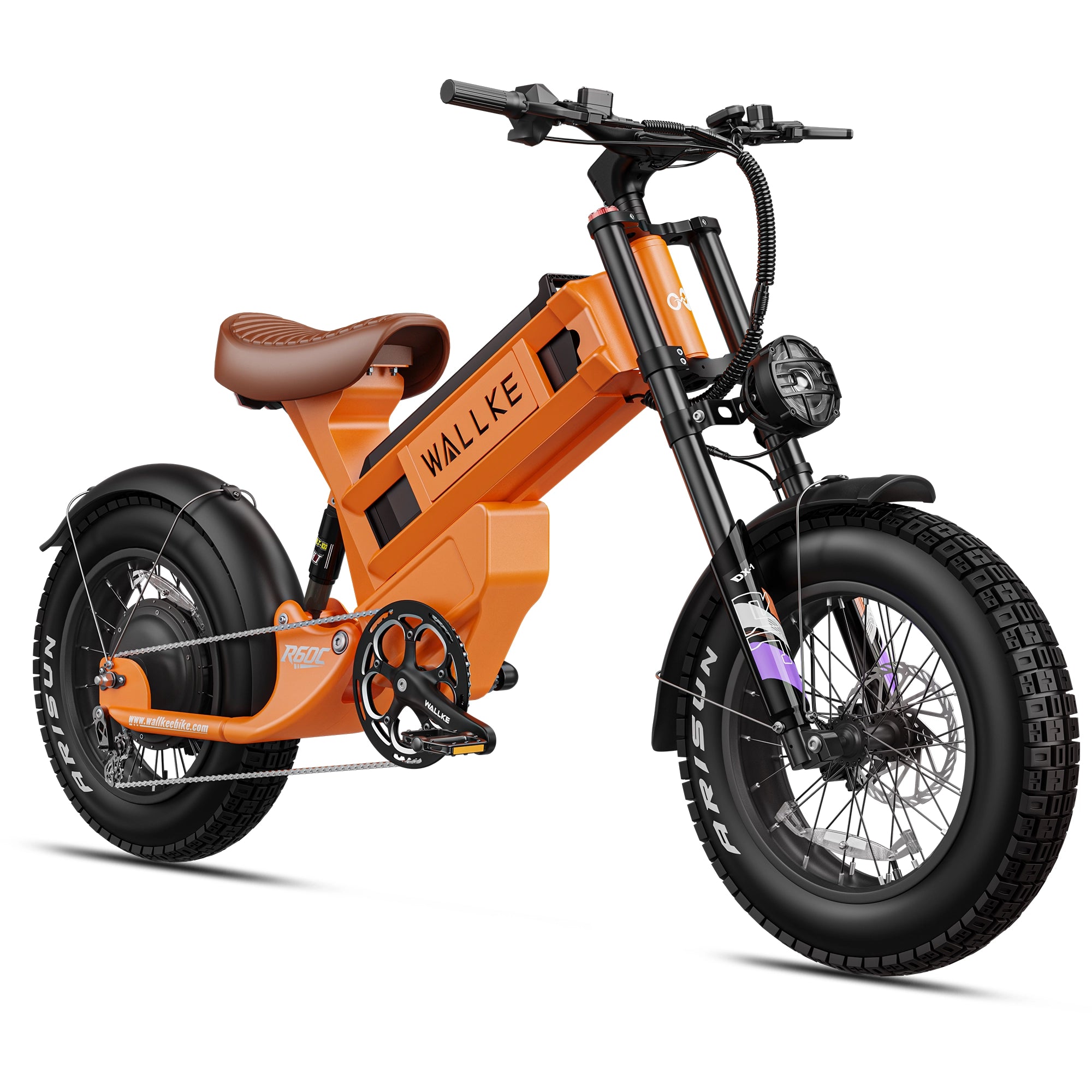 Wallke Ravager R60 studio view