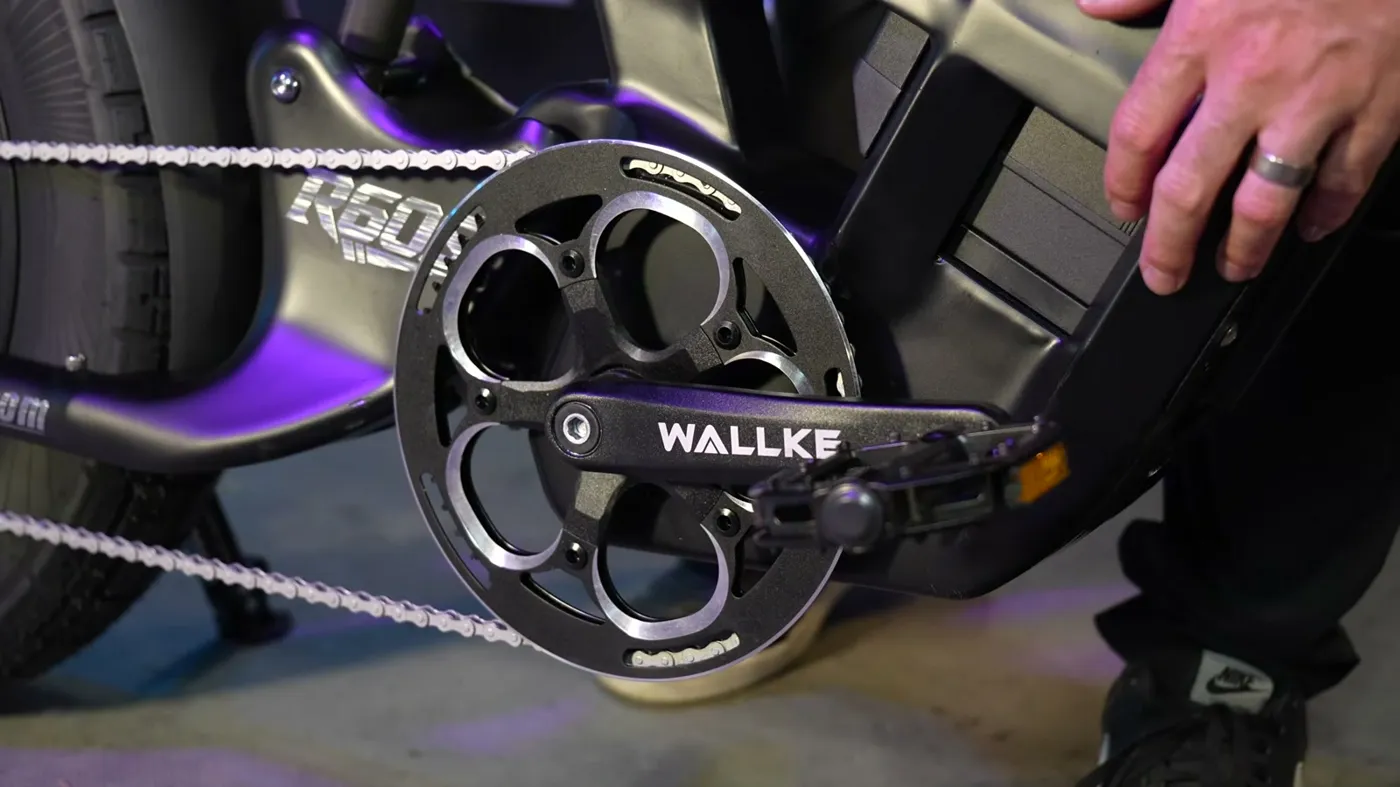 crank and chain guard
