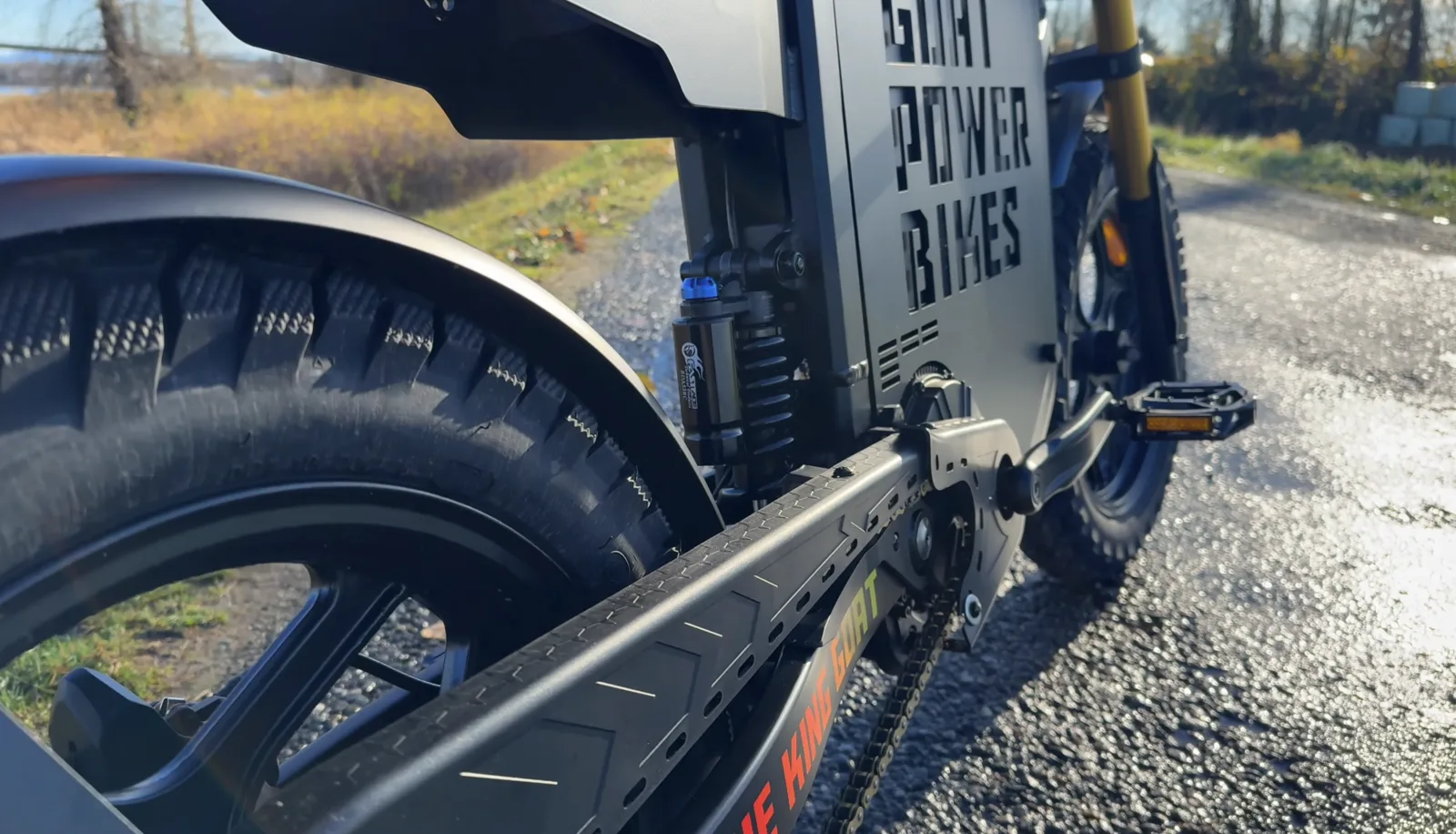 King Goat drivetrain and chain