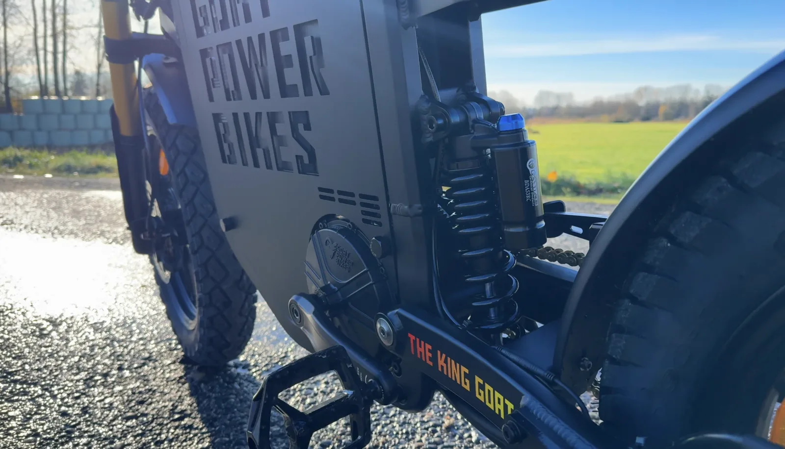 King Goat swingarm and shock detail