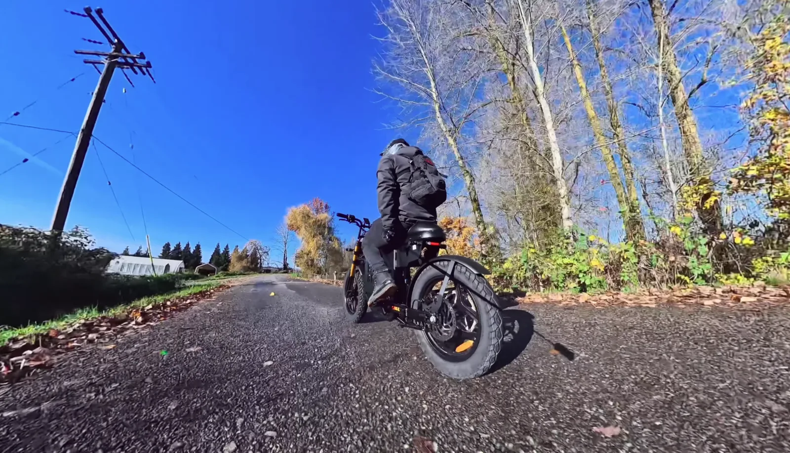King Goat riding autumn back roads