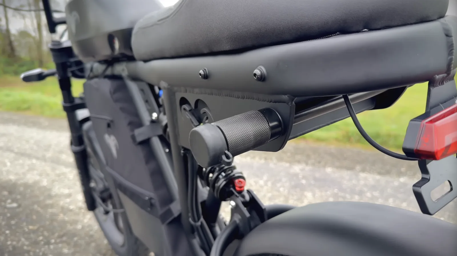 Rear foot peg, tail light and plate bracket